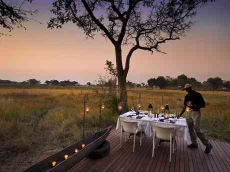Epic Botswana Safari